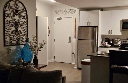 Near West Side Condo | Luxurious & Cozy with an Amazing View in an area that offers it all w/transprtnn