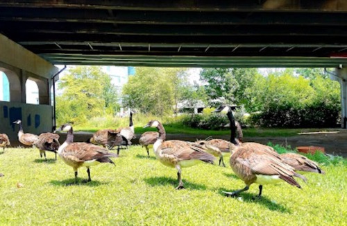 Moline Condo | Luxurious Faimly-friendly nEatery,Walmart,JohnDeere World Headquarters&lot more.