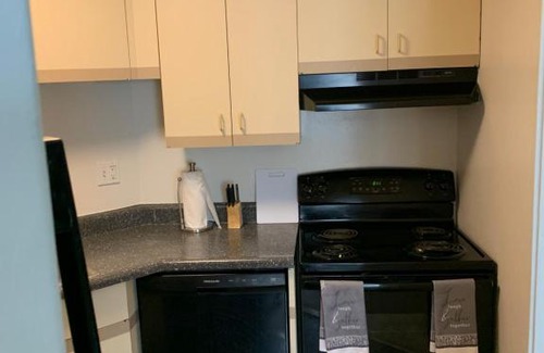 Detroit Apartment | Luxurious High Rise Downtown Apartment With Tons Of Amenities