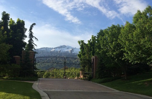 Alpine House | Luxurious home sleeps 30+! Great for Family Reunions, Corporate Retreats & more!
