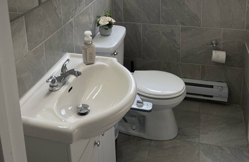 Laval Apartment | Luxurious Newly Renovated 3beds 1 Bath!