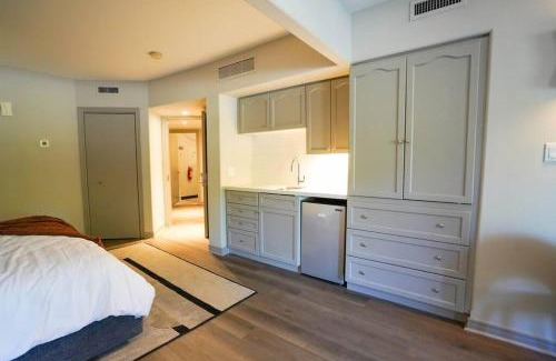 Oro-Medonte Apartment | Luxurious Studio with King Bed with Pullout
