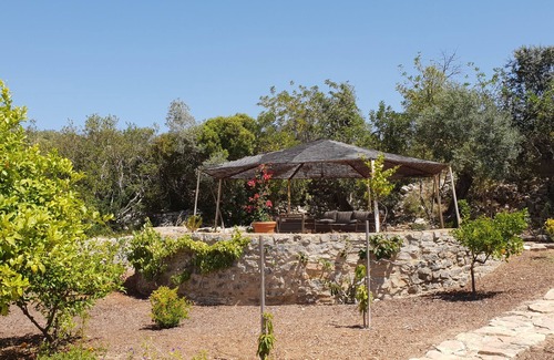 Loule House | Luxurious villa 9 p. - property 50 acres in the middle of olive trees - magnificent view