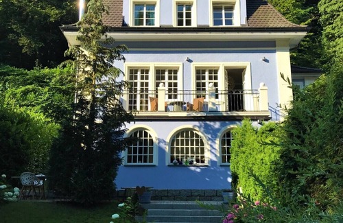 Freiburg im Breisgau Villa | LUXURIOUS VILLA IN FREIBURG