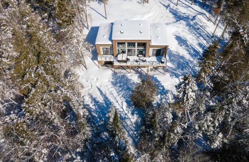 La Conception Ski Chalet | Luxurious Villa Tremblant 4 Bdrs W Hot Tub B85