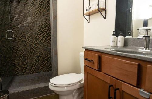 Roanoke Apartment | Luxury 2 Bedroom Apt With Exposed Brick Downtown