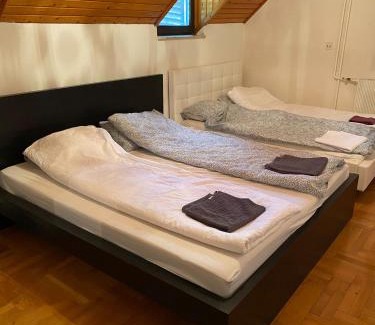 Csatarka Villa | Luxury 3 BR Vila in a forest 10min drive from city center