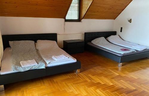 Csatarka Villa | Luxury 3 BR Vila in a forest 10min drive from city center