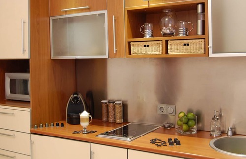 Vizivaros Apartment | Luxury 60m2 private JACUZZI & GARAGE studio right under Buda Castle