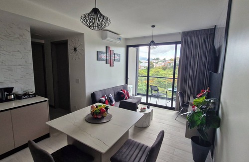 San Jose Apartment | Luxury apartment in San Jose with A/C and Free Parking