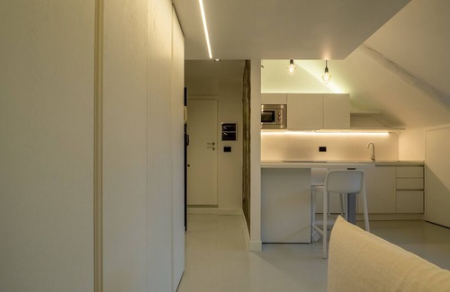 Roman Quarter Apartment | Luxury apartment in the center * cuore di Torino
