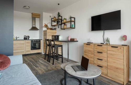 Baluty Apartment | Luxury apartment near Manufaktura FV