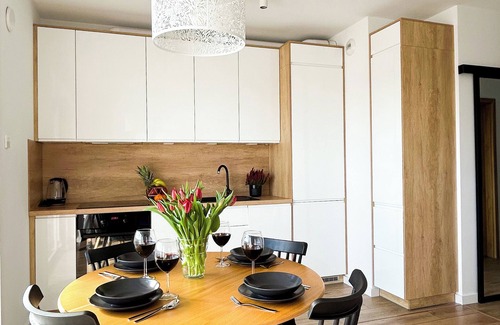 Baluty Apartment | Luxury Apartment on Drewnowska Street
