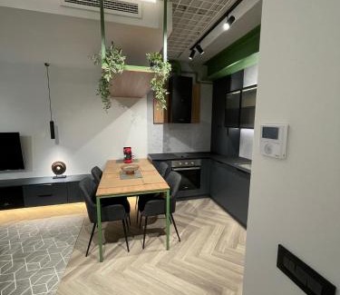 Sibiu Apartment | Luxury by The Lake Ap 25