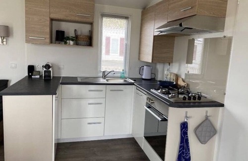 Renesse Ski Chalet | Luxury Chalet "Zeebries" Park Oase Renesse Mai discount 1 dog allowed