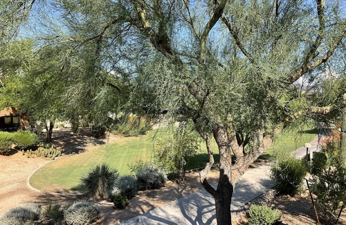 Village Fairways Condo | Luxury condo in Scottsdale* contact owner for specials!