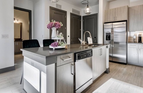 North Decatur Apartment | Luxury Decatur Apt mins from Emory, Beltline, Mercedes-Benz Stadium & Much More!