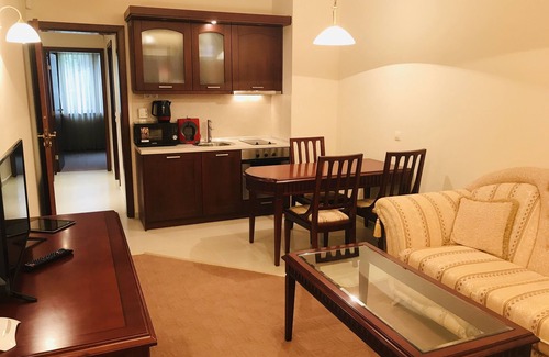 Shiligarnika Apartment | Luxury Downtown apartment-Gondola