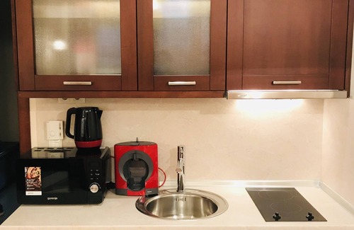 Shiligarnika Apartment | Luxury Downtown apartment-Gondola