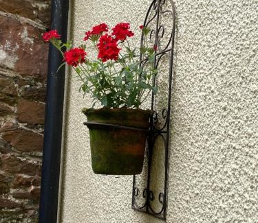 Totnes Apartment | Luxury flat in Totnes