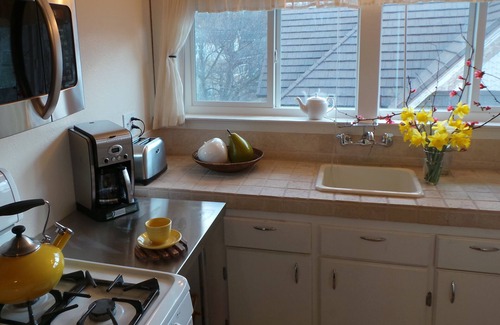 Placerville Apartment | Luxury Guest Apartments-Walking To Main St Placerville - Iris Suite