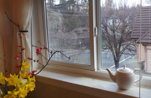 Placerville Apartment | Luxury Guest Apartments-Walking To Main St Placerville - Iris Suite