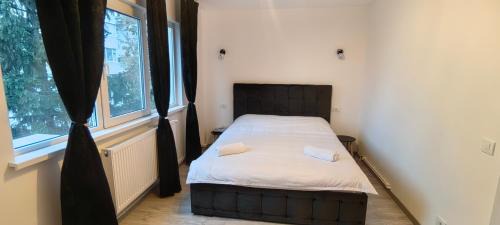 Bacau Apartment | Luxury Lion Crib