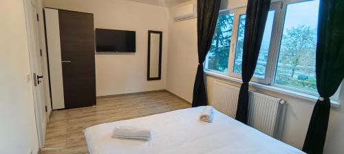 Bacau Apartment | Luxury Lion Crib
