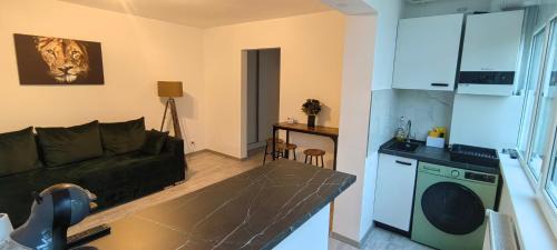 Bacau Apartment | Luxury Lion Crib