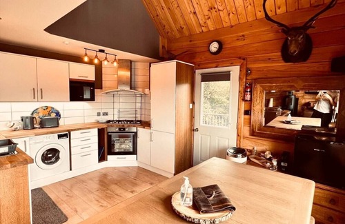 Foyers Cabin | Luxury lodge on Loch Ness + hot tub & sauna