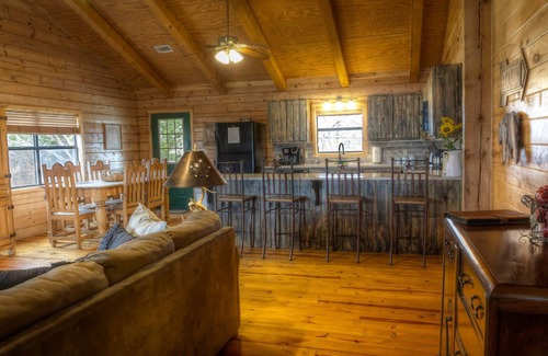 Rio Frio Cabin | LUXURY LOG CABIN #1 FRIO RIVER WATER FRONT
