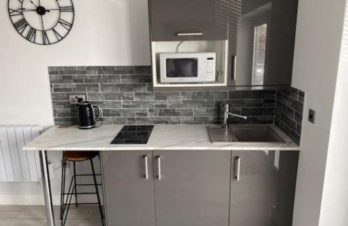 Mumbles Apartment | Luxury Mumbles View Studio Apartment