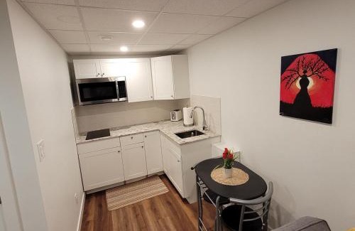 Fort Gary Apartment | Luxury one bedroom in a modern basement