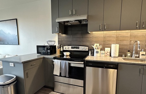 Downtown Vancouver Apartment | Luxury One BR Apt in Downtown Vancouver with River View