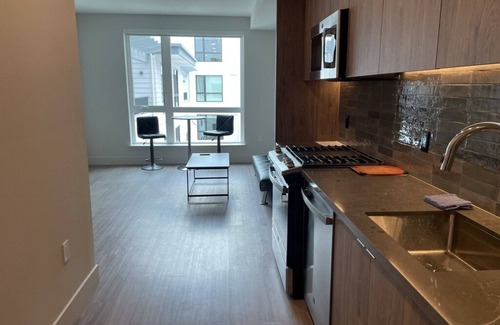 Fillmore District Apartment | Luxury San Francisco Apartment in Nice Area