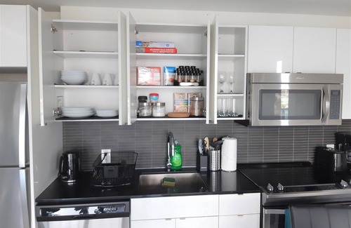 Downtown Winnipeg Condo | Luxury skyline entire condo in downtown with FREE 24/7 parking