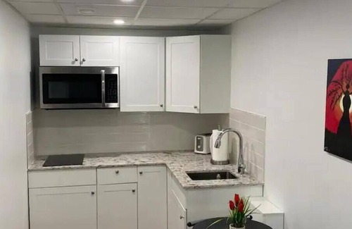 Fort Gary Apartment | Luxury two bedroom in a modern basement.