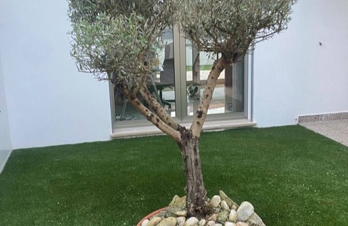 Nazare Villa | Luxury Villa in Nazare with private pool and terrace for outdoor dining