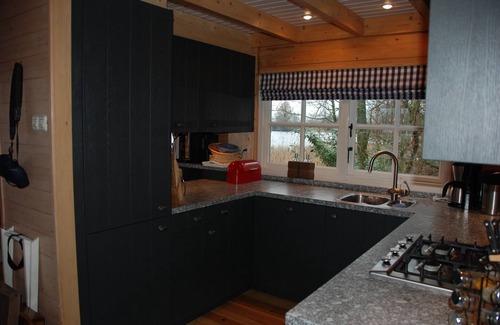 Warten Villa | Luxury villa on an island in National Park Alde Feanen, Eernewoude, Friesland