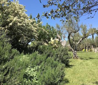 Partanna Villa | Luxury villa/ Private Heated Pool / Private Garden
