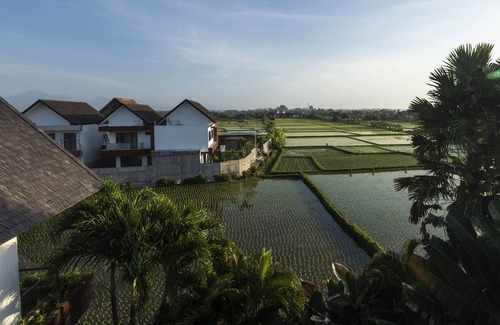 Cemagi Villa | Luxury villa with rooftop viewing sea and rice field.