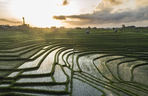 Cemagi Villa | Luxury villa with rooftop viewing sea and rice field.