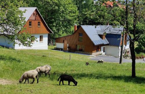 Vysoke nad Jizerou Apartment | Luxusní apt Hory 7 v Krkonoších
