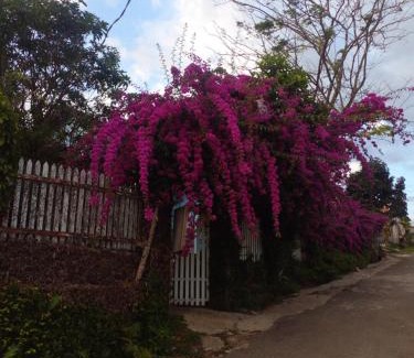 Gia Nghia House | Ly's homestay