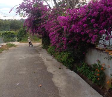 Gia Nghia House | Ly's homestay