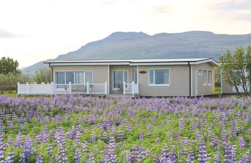 Hjardarfell House | Lynghagi House - Lava Water
