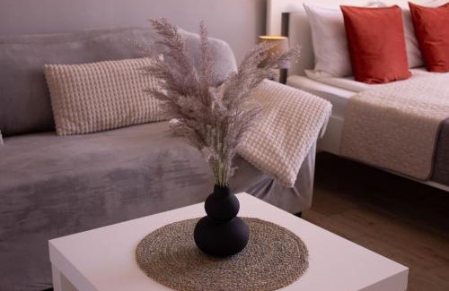 Sfantu Gheorghe Apartment | Lyra Apartment