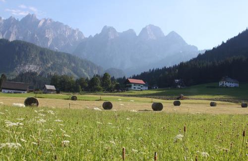 Gosau Apartment | Mühlradl Apartments Gosau