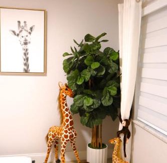 Orlando Ski Chalet | M&H Oasis