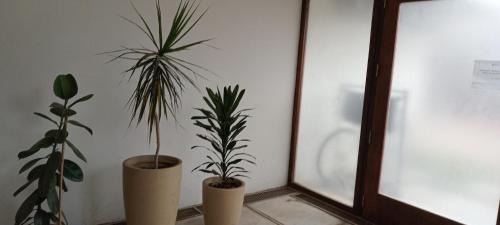 Navarro Apartment | M L